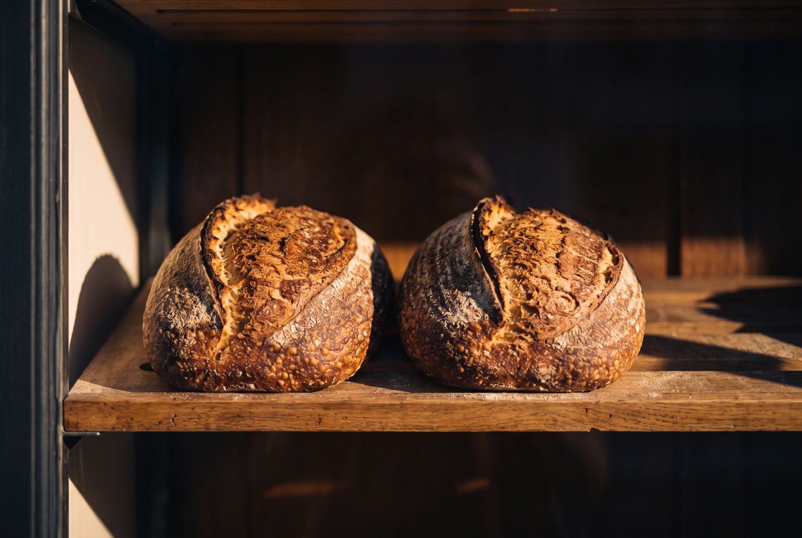 Deux grosses miches de levain posées sur une étagère de bois, dans la lumière chaude de la boutique.